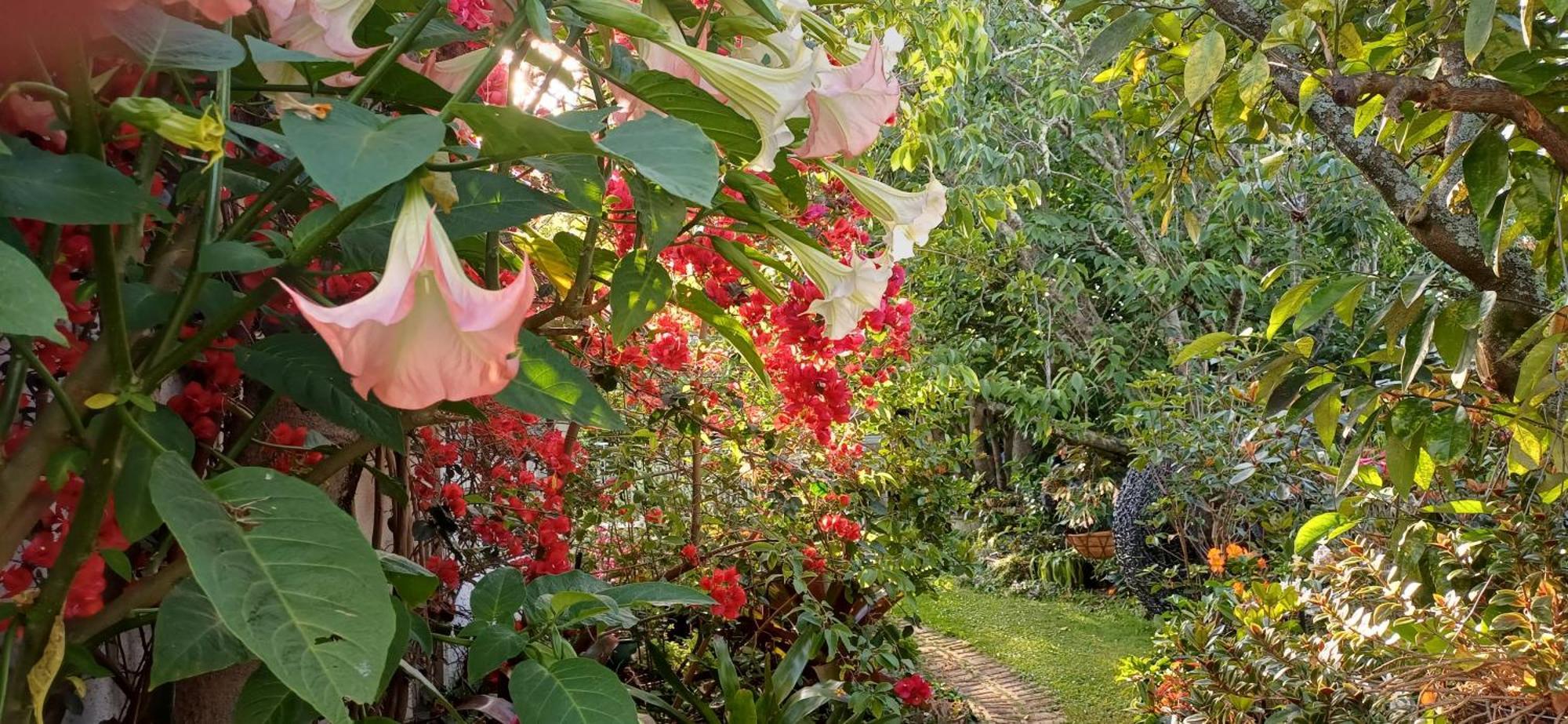 Ashcroft Gardens Bed & Breakfast Napier Exterior photo